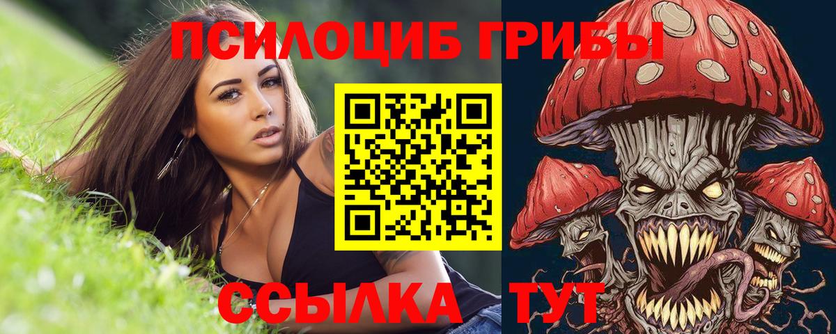 Псилоцибиновые грибы ЛСД  Вход с VPN  Каменка 