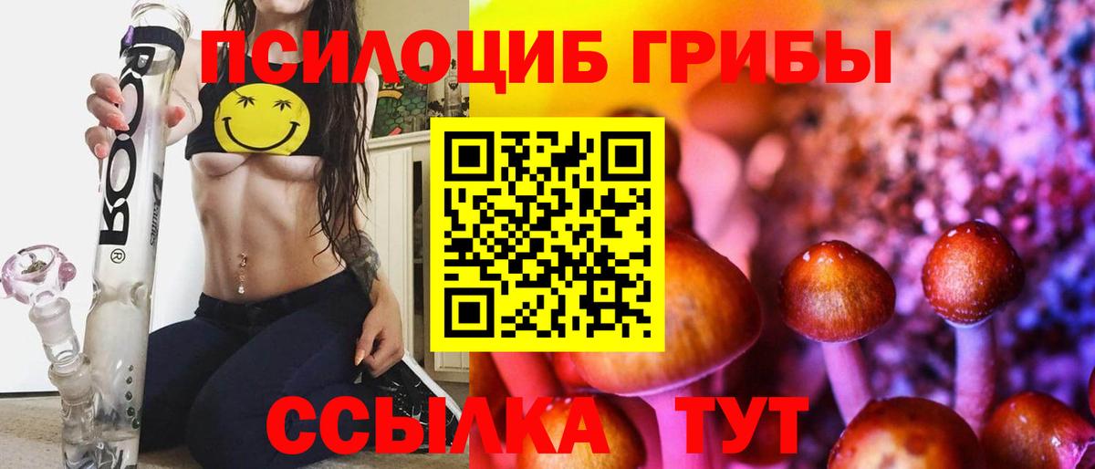 Псилоцибиновые грибы MAGIC MUSHROOMS Каменка
